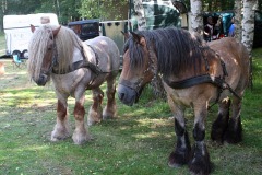 2B012AAA-73AF-48C8-BBF1-A56647A40DAB