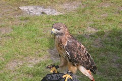 C5E31DB2-6730-4B01-9956-5A55530618E7