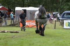 houthakkers feest 2014 lage vuursche