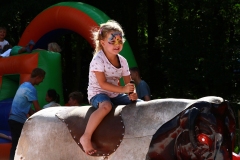 0957861DA56A417F9AFF523E8B608535