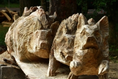 57FE5375E2D44C7A86382413E796E23C