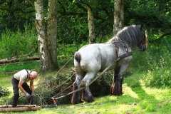 5F48F9A9C72845AEA2AB95ED0833157D