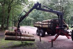 F96A39C704ED408F80915F37BBA8EA88