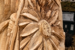 6E73355073A742349D68AE58FCB99C2B