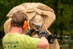 BFDE0A7EAA374443B6CEAE8D76BFA957