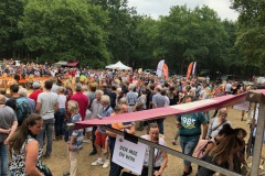 DD314FB569C4485C8CCEA7AB6EE2FF3B