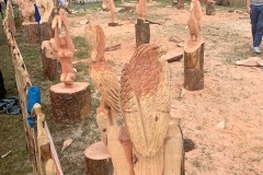 260FFA651996438FACA7120170CBF44F